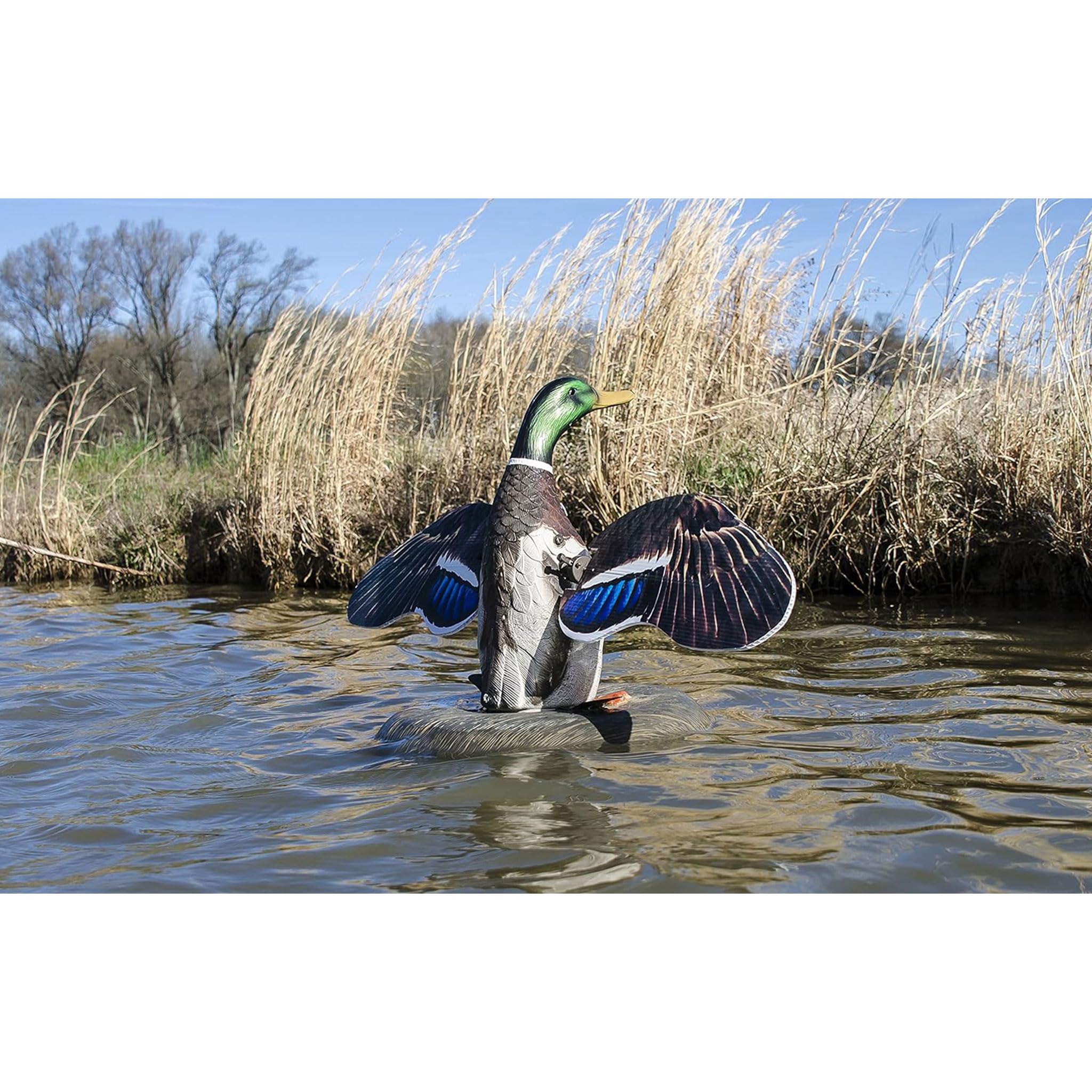 Higdon Outdoors XS Floating Flasher Duck Decoy - Mallard Drake 12V for Waterfowl Hunting | Realistic Motion Decoy for Ponds, Lakes & Wetlands Hunting Gear