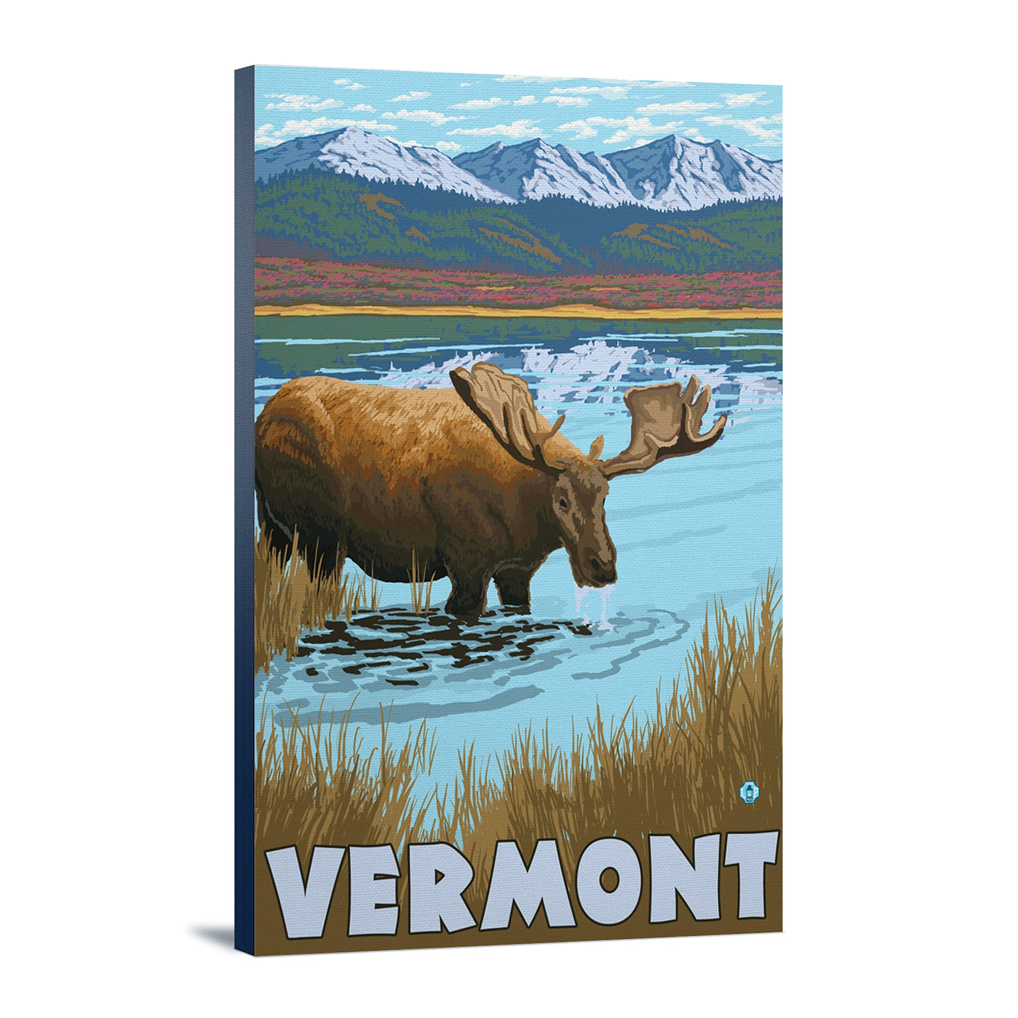 Lantern Press Vermont Moose Drinking in Lake - 16x24 Wrapped Canvas Wall Art for Living Room, Bedroom & Office Decor | Nature Wildlife Painting for Home & Cabin