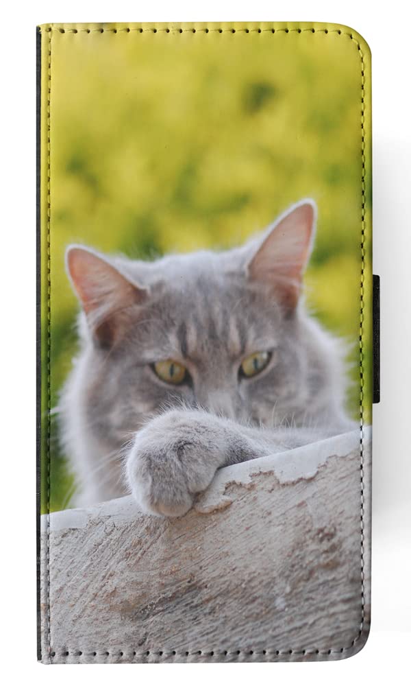 Cute Grey Cat Kitten Feline Flip Wallet Phone Case Cover for Apple iPhone X & iPhone Xs | Slim Protective Card Holder | Perfect for Cat Lovers & Everyday Use