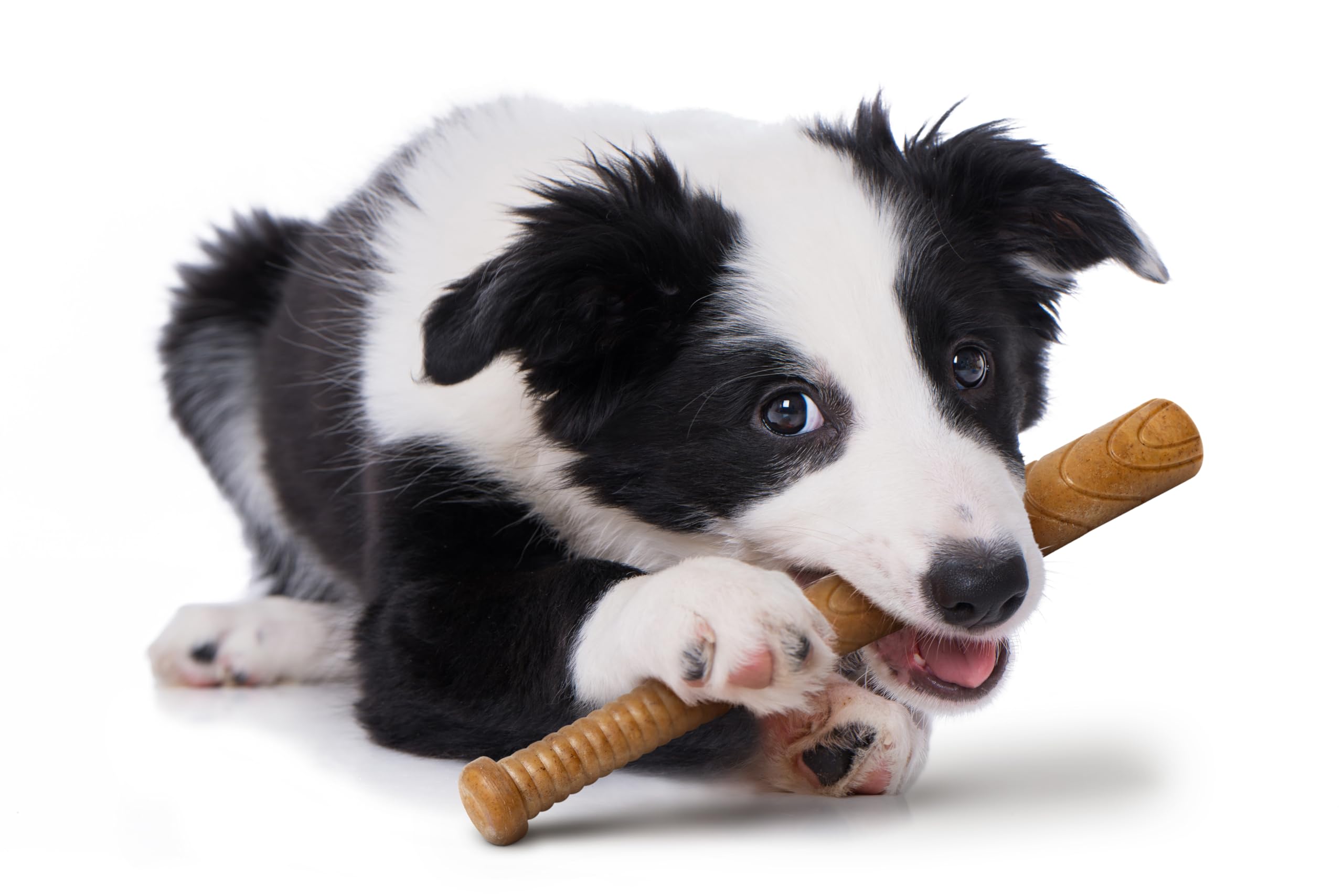 THE CHEW CLUB POWERBONE - Ultra Durable Baseball Bat Dog Toy for Aggressive Chewers | Heavy-Duty Nylon & Bamboo Chew Toy for Large Dogs | Long-Lasting Teething Solution for Puppies and Adult Dogs | Perfect for Playtime, Training, and Anxiety Relief