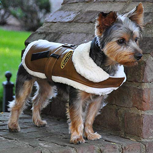 Chocolate Brown Faux Leather Dog Harness with Belted Bomber Jacket Design & Leash - X-Small (Chest 10-13