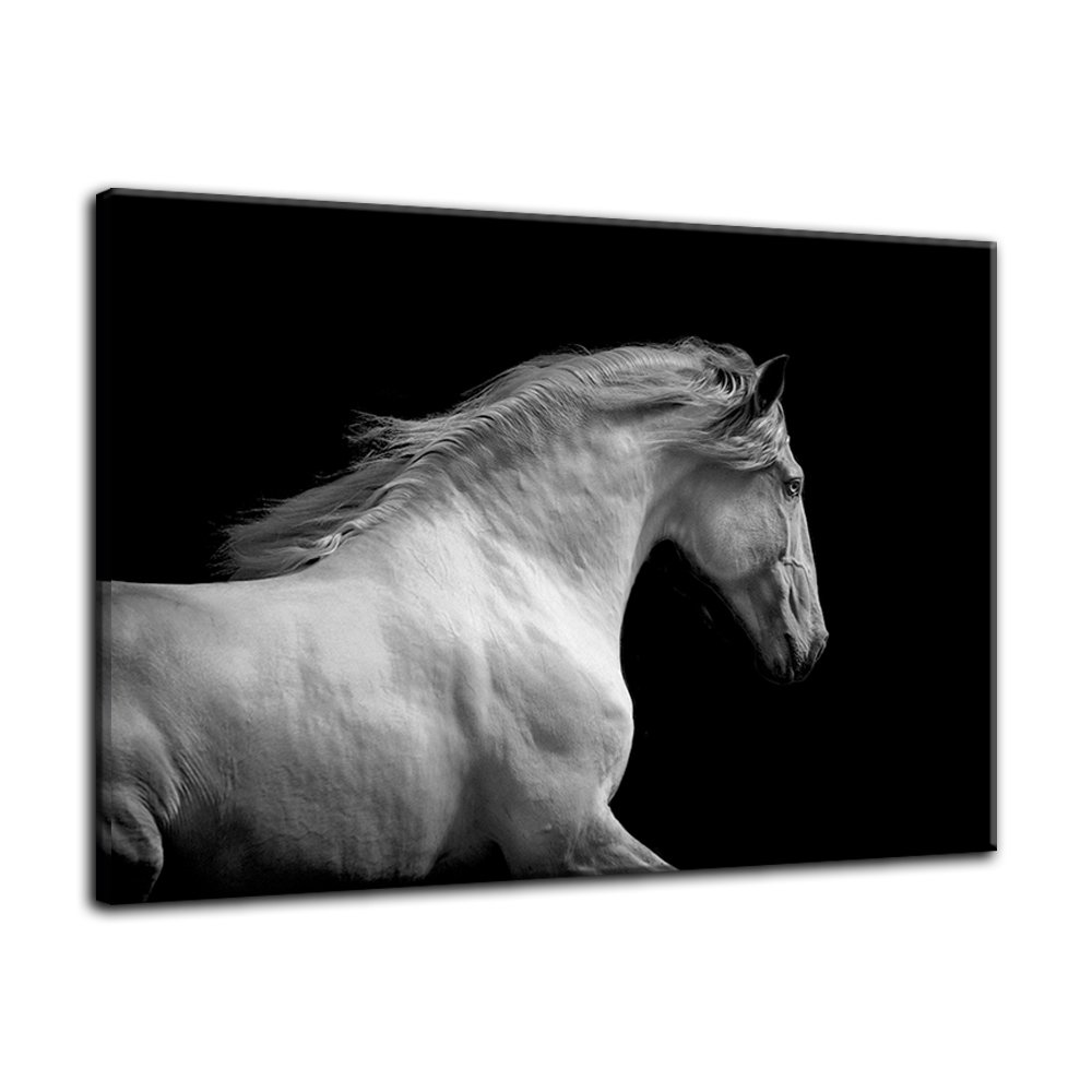 Black and White Running Horse Wall Art - Contemporary Framed Canvas Painting, HD Giclee Print, Modern Home Decor for Living Room, Bedroom & Office - Perfect for Equestrian Lovers & Western Style Interiors