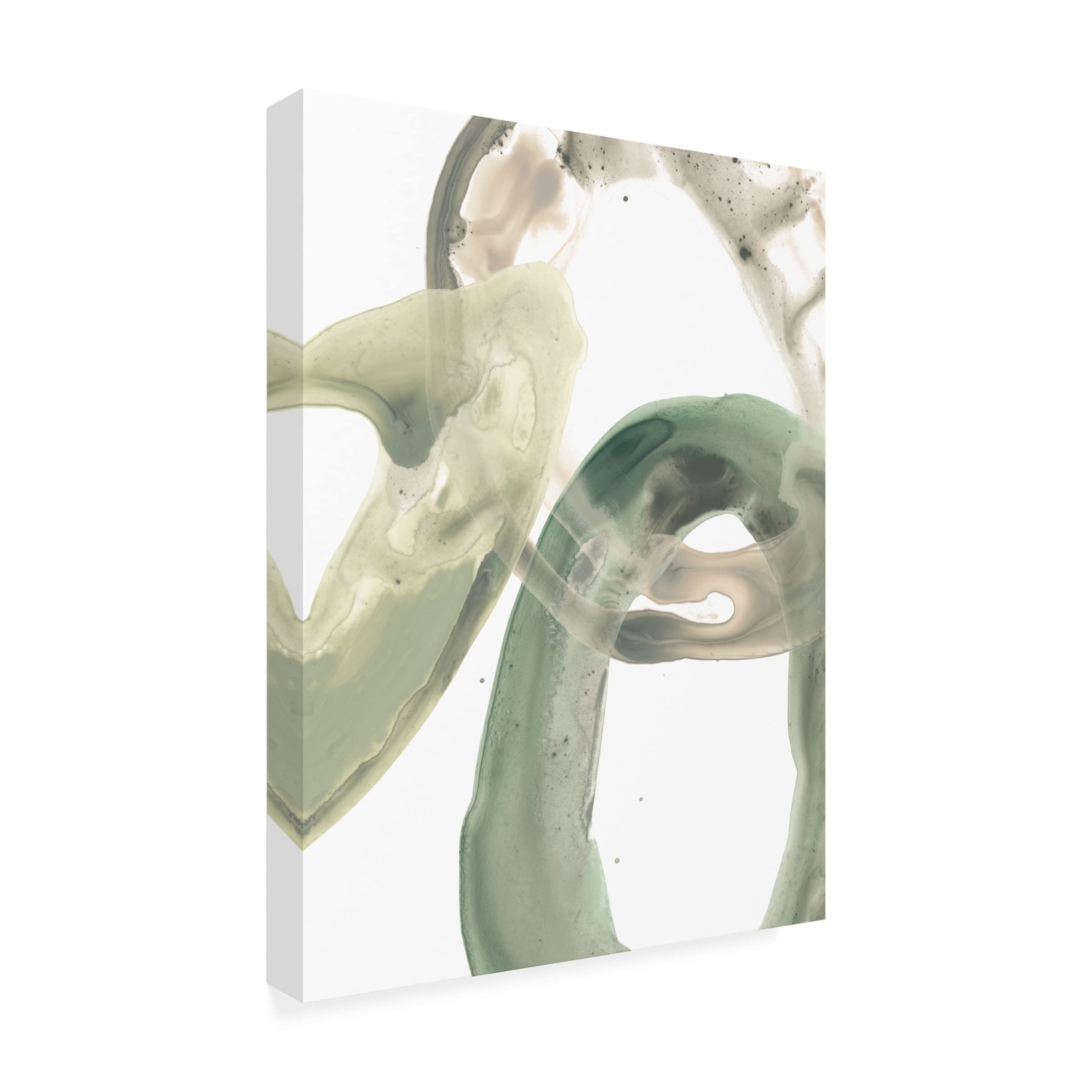 Trademark Fine Art 'Concentric Lichen V' Canvas Art Print by June Erica Vess - Modern Abstract Nature Wall Decor for Living Room, Bedroom & Office