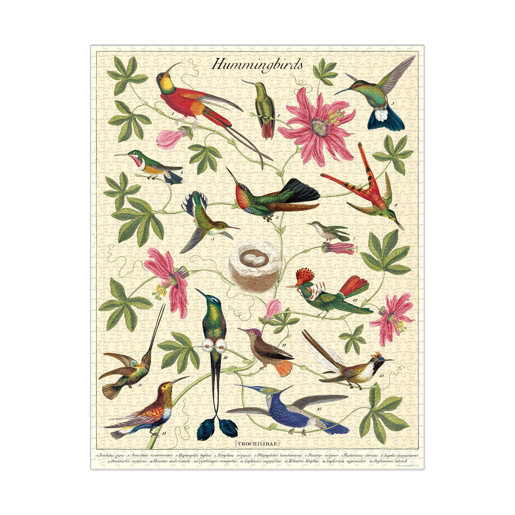 1,000 Piece Vintage Hummingbirds Jigsaw Puzzle - Beautiful Bird Art for Adults & Kids - Perfect for Family Game Night & Relaxation
