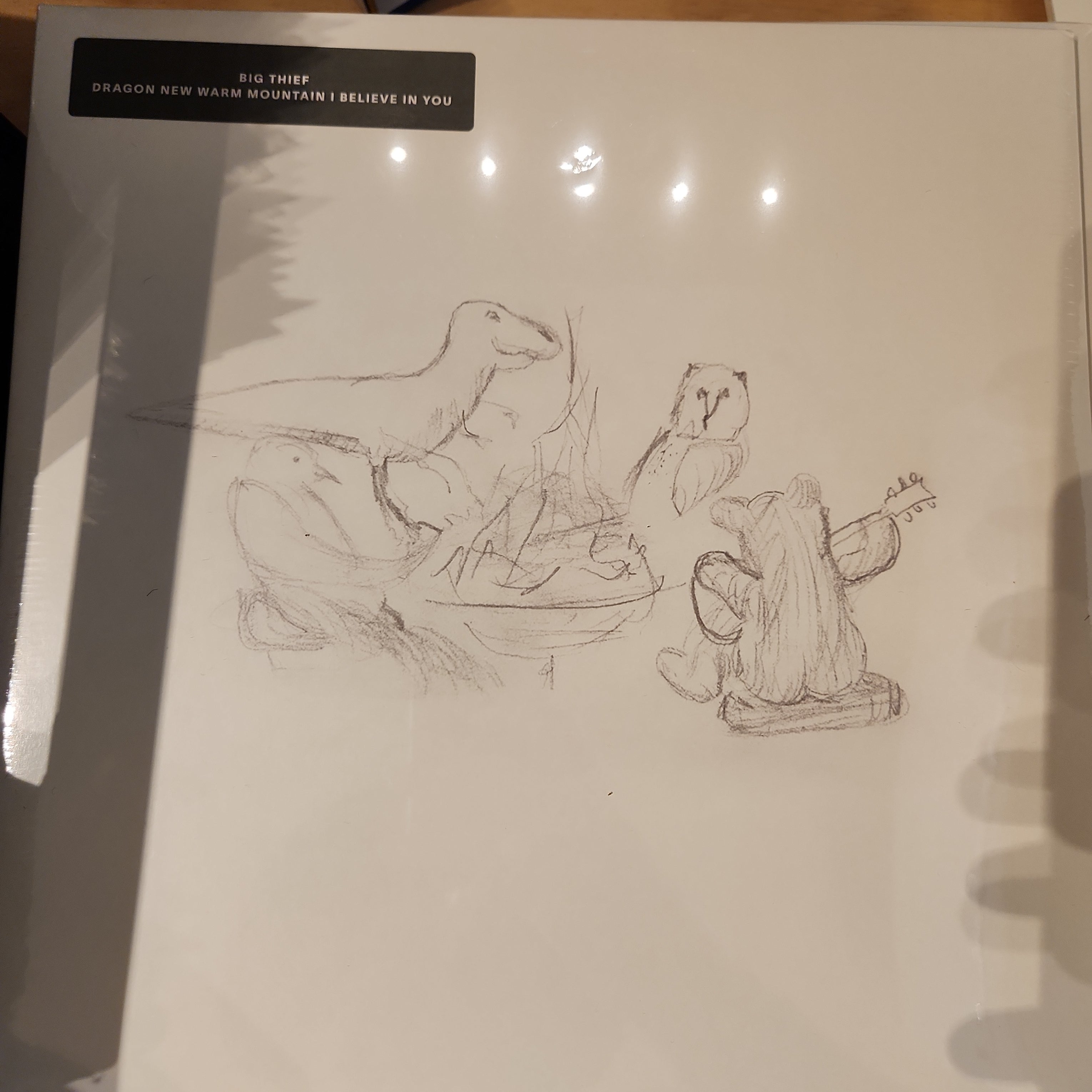 Big Thief - Dragon New Warm Mountain I Believe in You Vinyl LP Record | Alternative Folk Rock Music | Perfect for Home Listening & Music Collectors