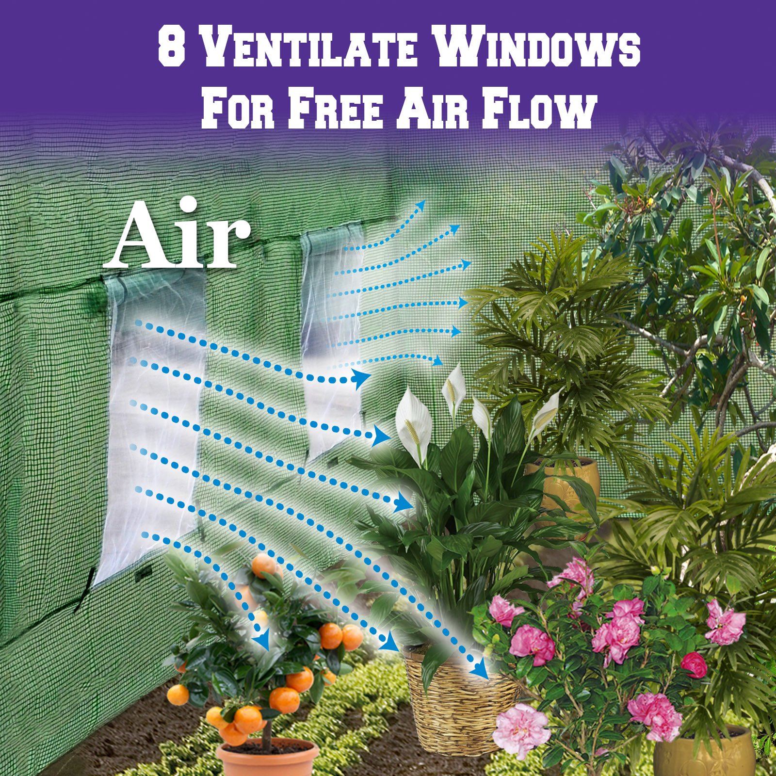 BenefitUSA 20'X10'X7' Walk-in Greenhouse Replacement Cover - Durable Outdoor Plant Gardening Cover for Large Greenhouses (Frame Not Included) - Perfect for Year-Round Gardening, Seed Starting & Plant Protection