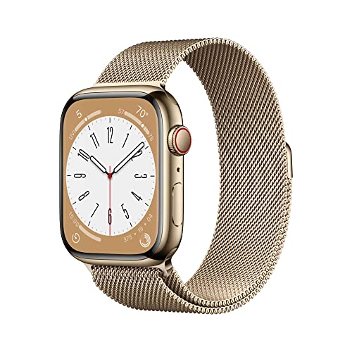 Gold Stainless Steel Case with Gold Milanese Loop