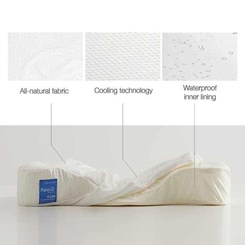 Andante Orthopedic Memory Foam Pillow - Neck Pain Relief & Posture Support Pillow for Side, Back & Stomach Sleepers - Ergonomic Cervical Pillow for Better Sleep & Spinal Alignment