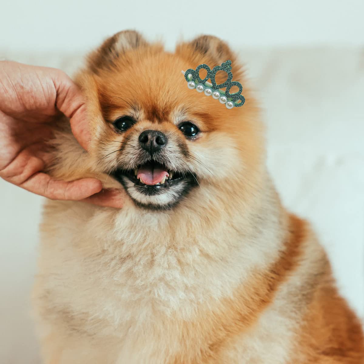 30Pcs Dog Crown Hair Clips & Topknot Bows - Pet Grooming Accessories for Dogs and Cats - Christmas, Halloween, Thanksgiving Party Supplies - Random Colors - Perfect for Pet Photo Shoots, Birthday Parties & Special Occasions