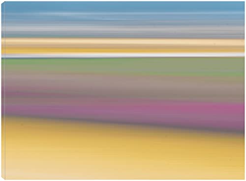 Rainbow Horizon