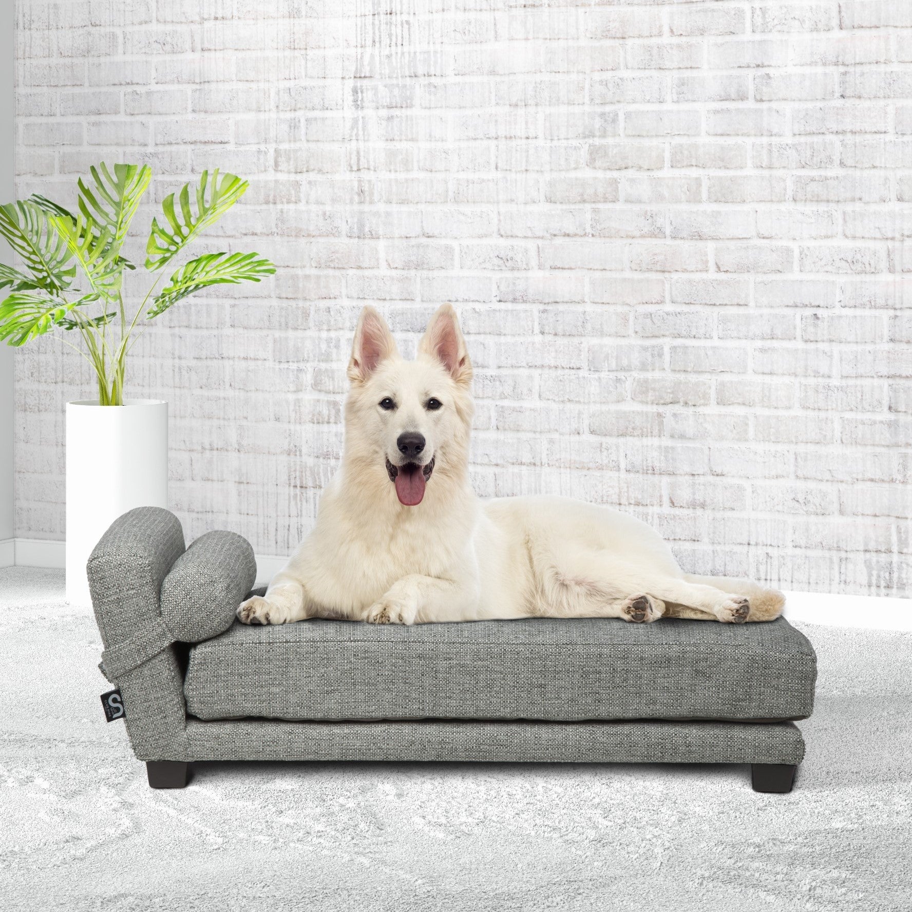 Orthopedic Dog Bed for Large Dogs - Memory Foam Support with Metal Frame - Perfect for Senior Pets & Joint Pain Relief - Ideal for Living Room, Bedroom, or Kennel Use