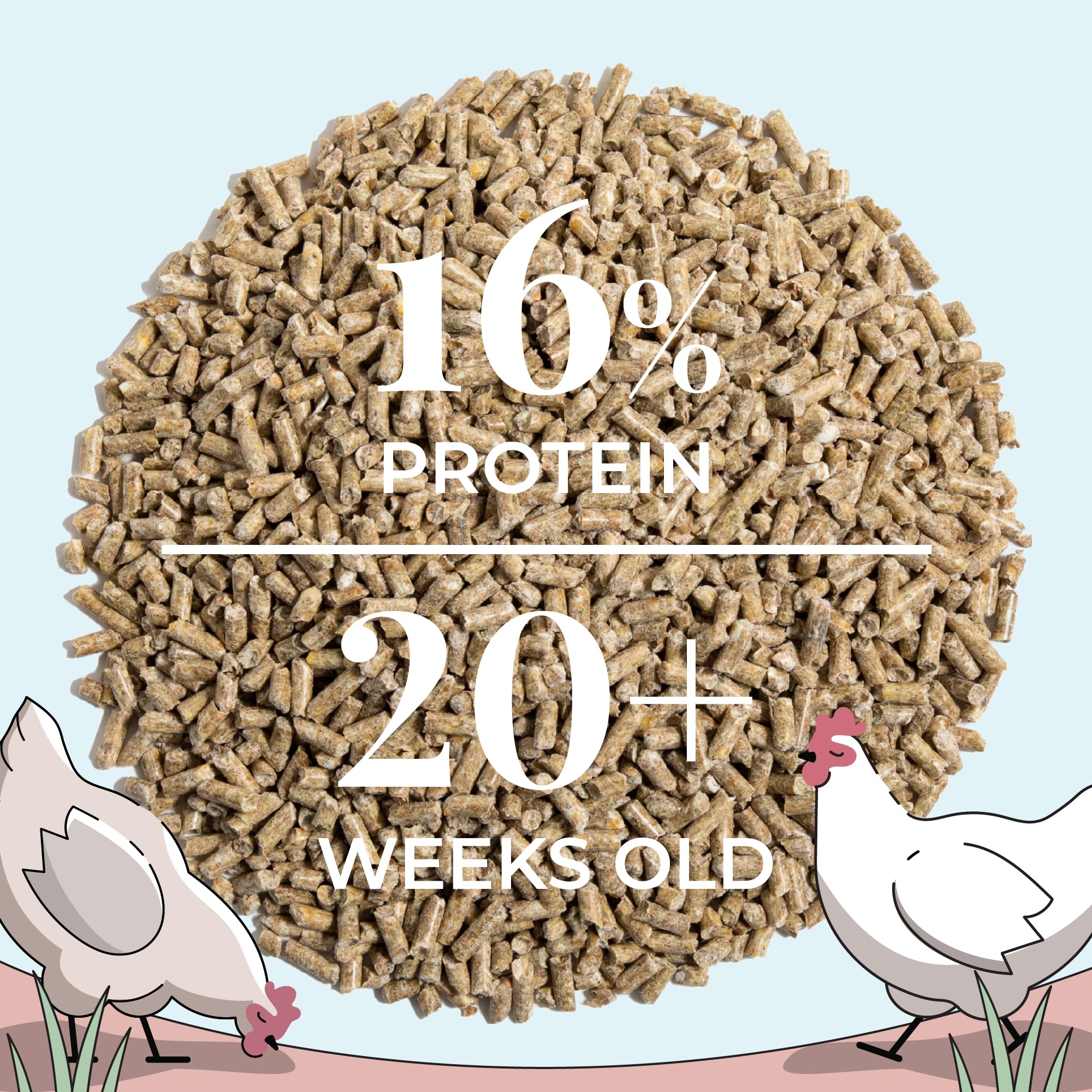 Organic Non-GMO Chicken Feed - 16% Protein Layer Pellets, Corn-Free & Soy-Free, USA Grown, 46lb Bag - Healthy Nutrition for Egg-Laying Hens - Perfect for Backyard Chicken Coops & Small Farms
