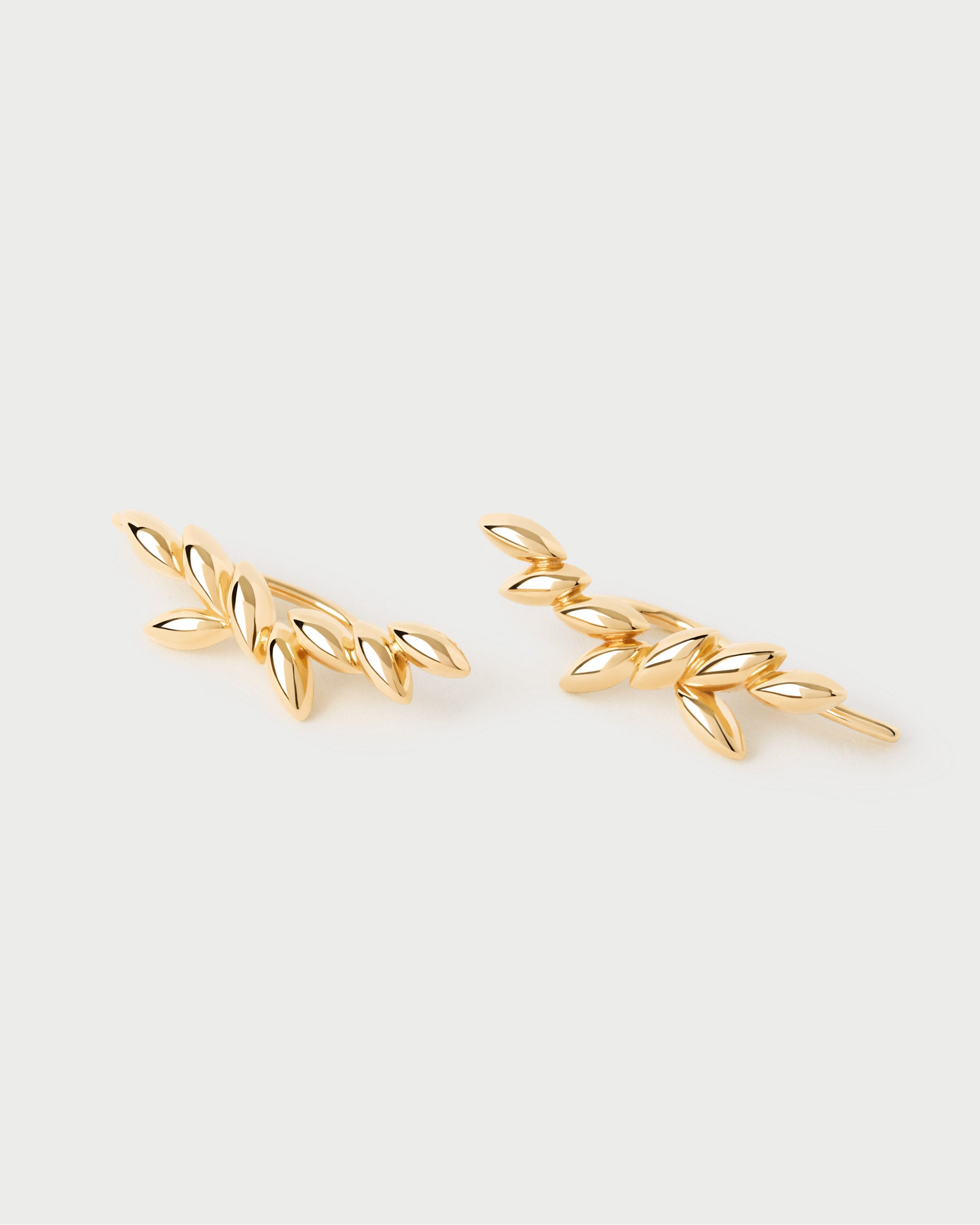 Elegant Eva Climbing Earrings for Women - Trendy Dangle Hoop Earrings for Daily Wear & Special Occasions