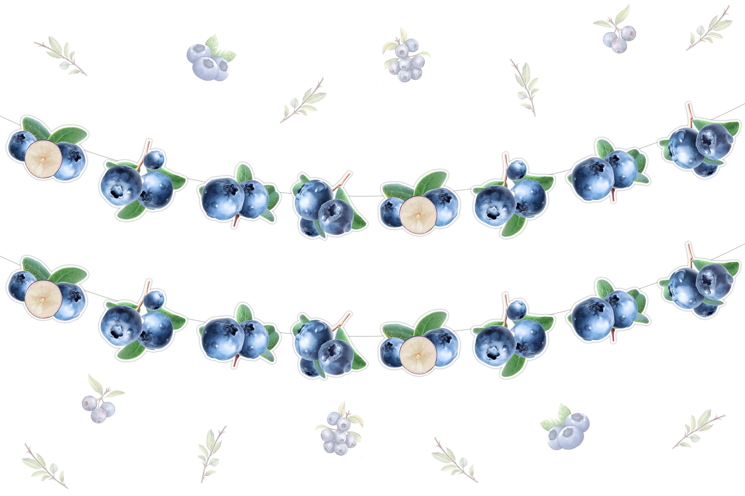 Kreatwow Blueberry Birthday Decorations - 2pcs Blueberry Garlands for Fruit Theme Party, Summer Birthday Party Decor - Perfect for Baby Showers, Bridal Showers & Summer Picnics