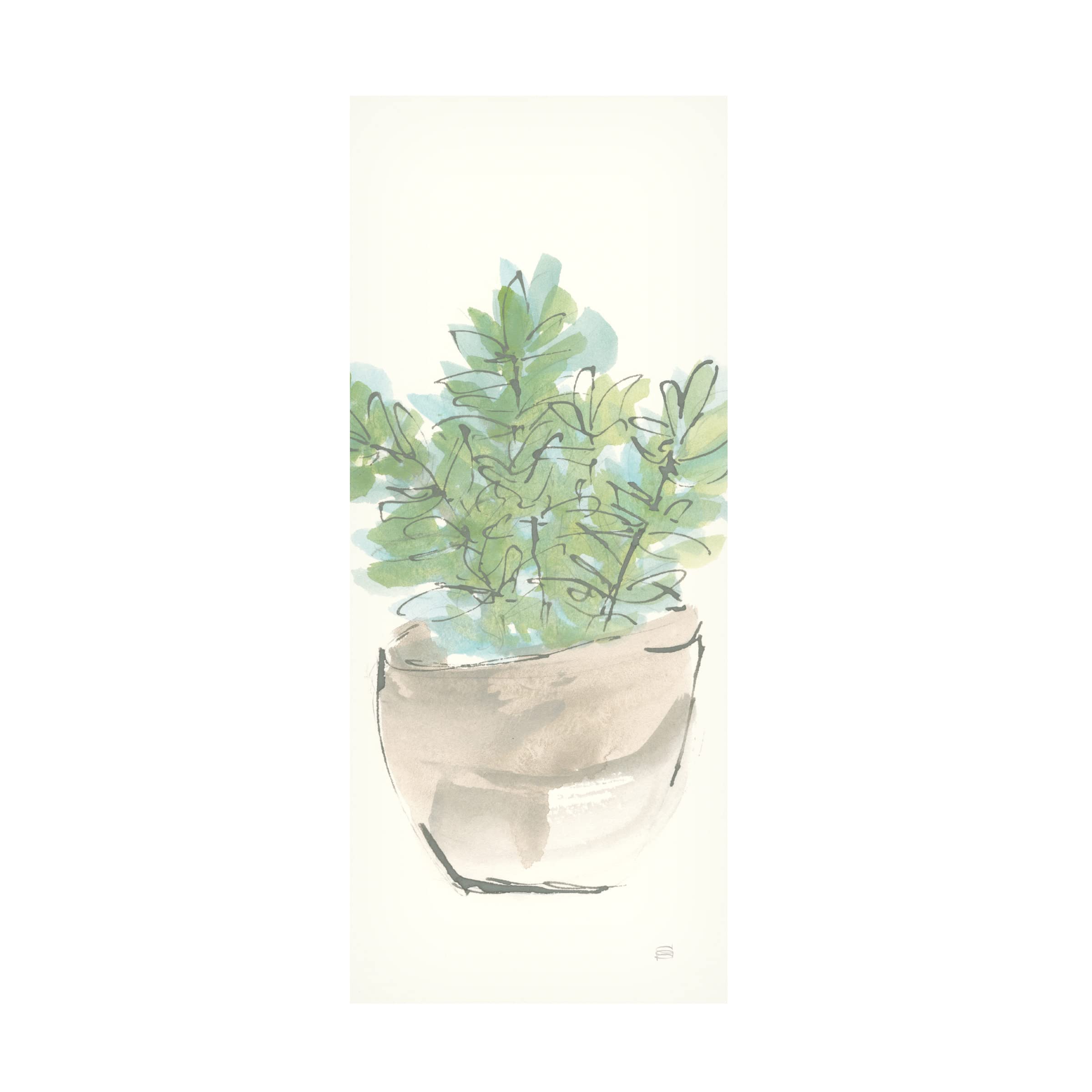 Chris Paschke Succulent II Crop Canvas Wall Art - Modern Botanical Print for Living Room, Bedroom & Office Decor | Trademark Fine Art Collection