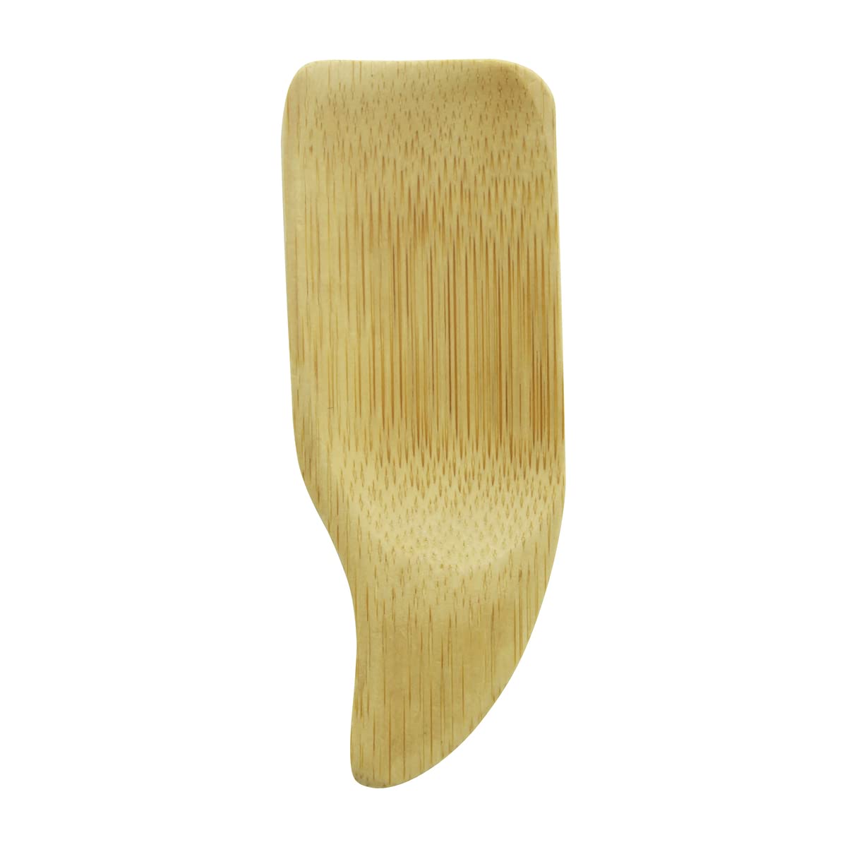 PACKNWOOD 209B Phuket Natural Bamboo Spoons - Eco-Friendly Disposable & Compostable Wooden Tasting Spoons - 3.9