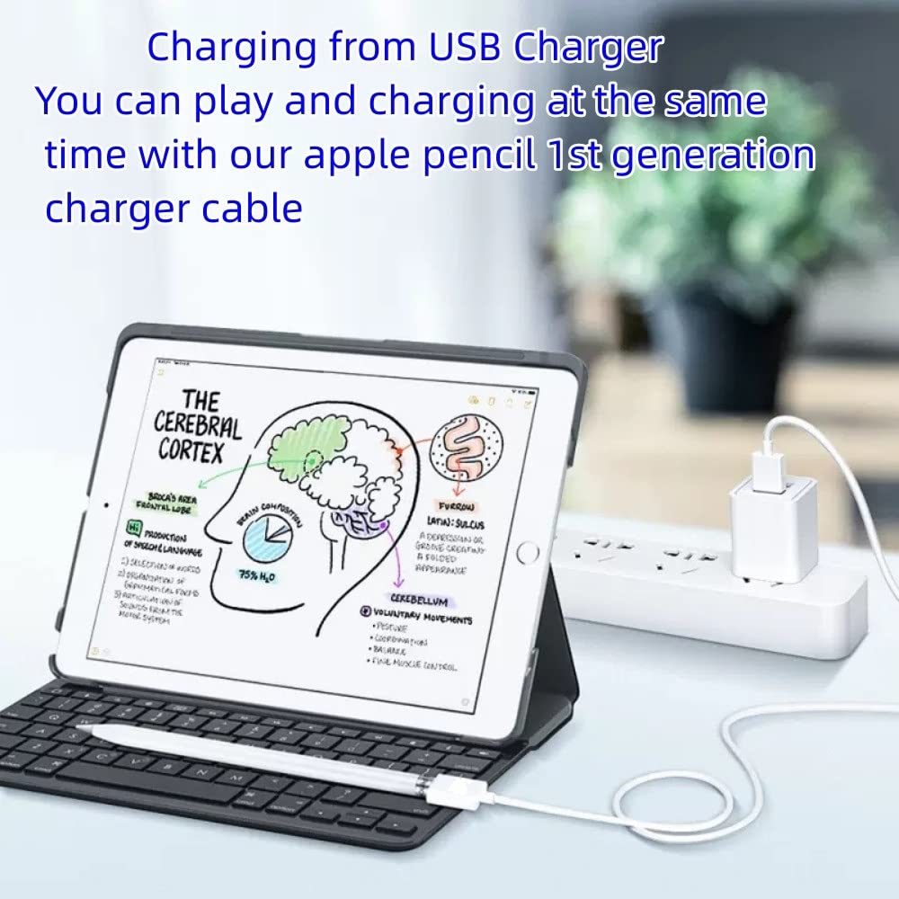 Apple Pencil Charger USB A to Lightning Adapter - Compatible with 1st Gen Apple Pencil (1 Pack, 1FT) - Perfect for Charging Your Apple Pencil at Home, Office or On The Go