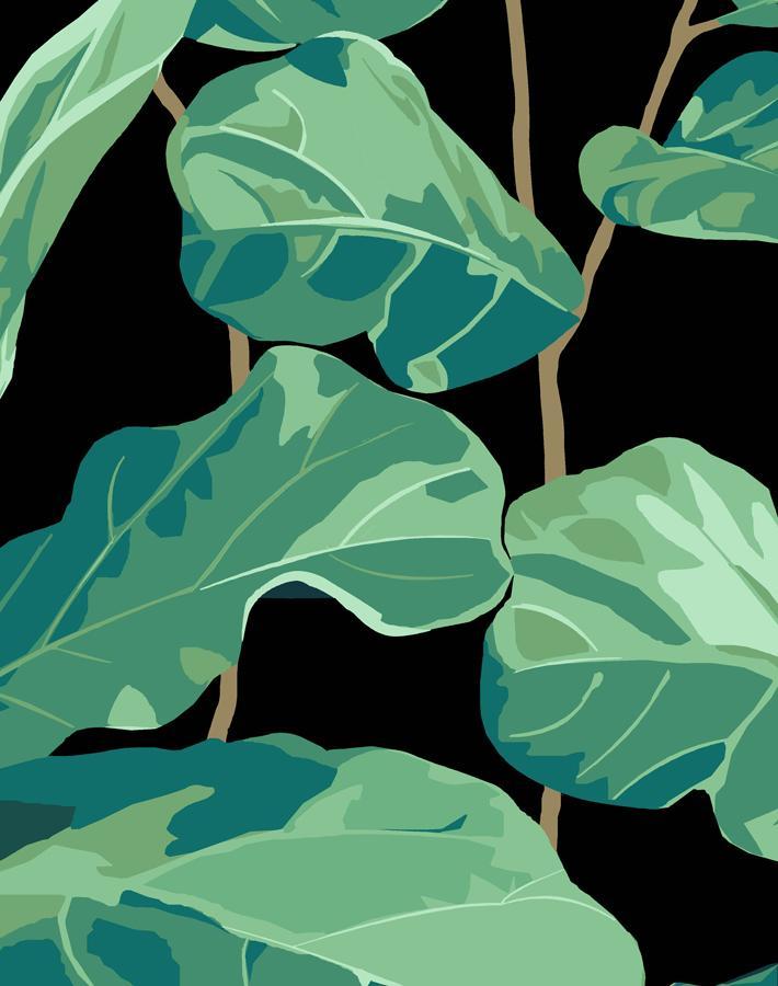 Nathan Turner Onyx Fiddle Leaf Fig Wallpaper - Elegant Botanical Peel and Stick Wallpaper for Living Room, Bedroom, or Nursery Decor