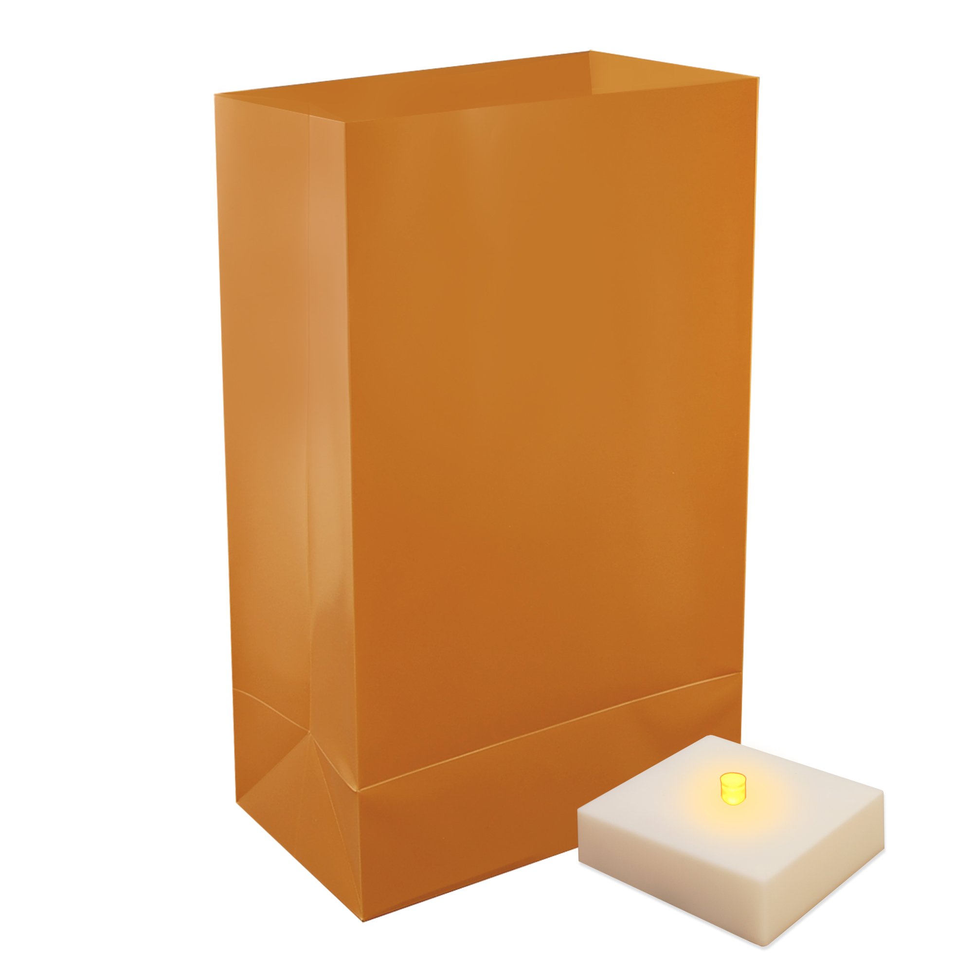 LumaBase Battery Operated LED Luminaria Kit with Timer - 6 Pack Tan Paper Lanterns for Outdoor Christmas, Weddings & Patio Decor (Model 77406)