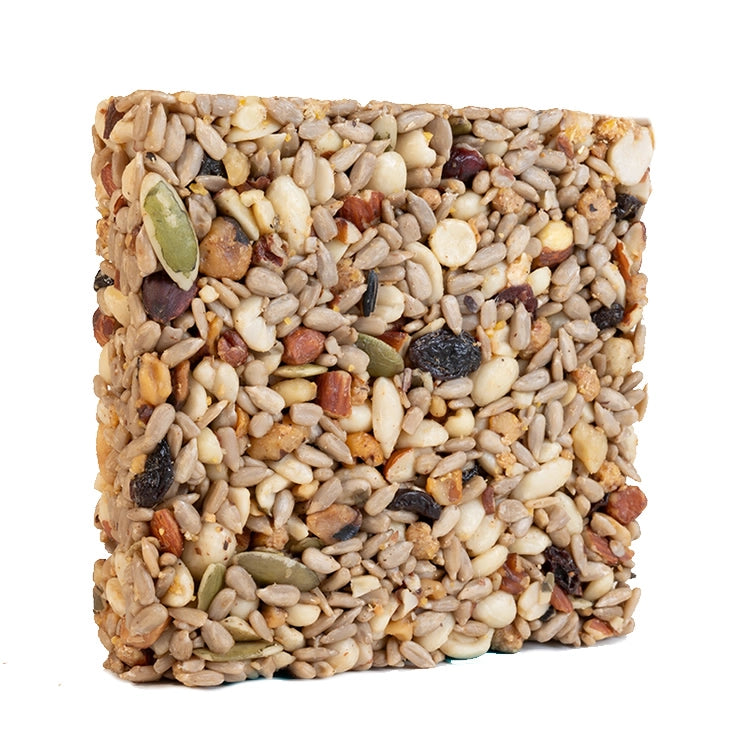 Duncraft High Energy Woodpecker Seed Cake - Premium Wild Bird Food for Woodpeckers, Nuthatches & Songbirds - Perfect for Backyard Bird Feeders & Nature Lovers