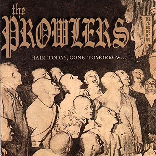 Hair Today, Gone Tomorrow Vinyl LP Record - Classic Rock Music Album for Collectors & Audiophiles - Perfect for Home Listening, Gifts & Vinyl Collections