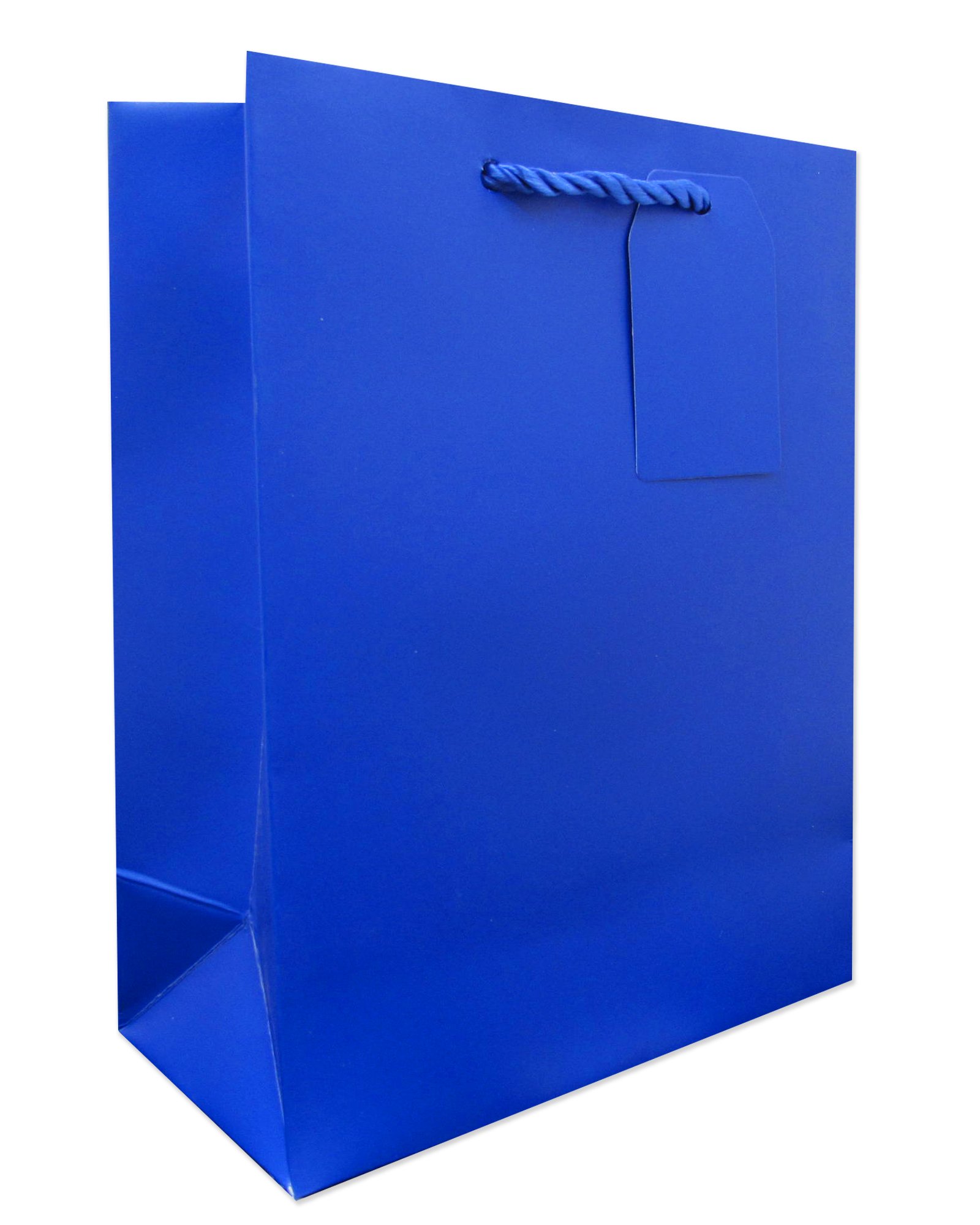 JILLSON & ROBERTS 120-Count Royal Blue Matte Medium Gift Bags Bulk Pack (BMT916) - Perfect for Birthday Parties, Baby Showers & Holiday Gift Wrapping