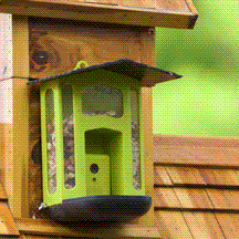 Bresser HD Bird Feeder Camera with Night Vision - Wildlife Observation Camera for Bird Watching, Garden Monitoring & Outdoor Nature Photography - Perfect for Backyard, Patio, and Nature Enthusiasts