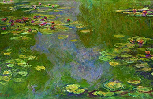 Water Lilies