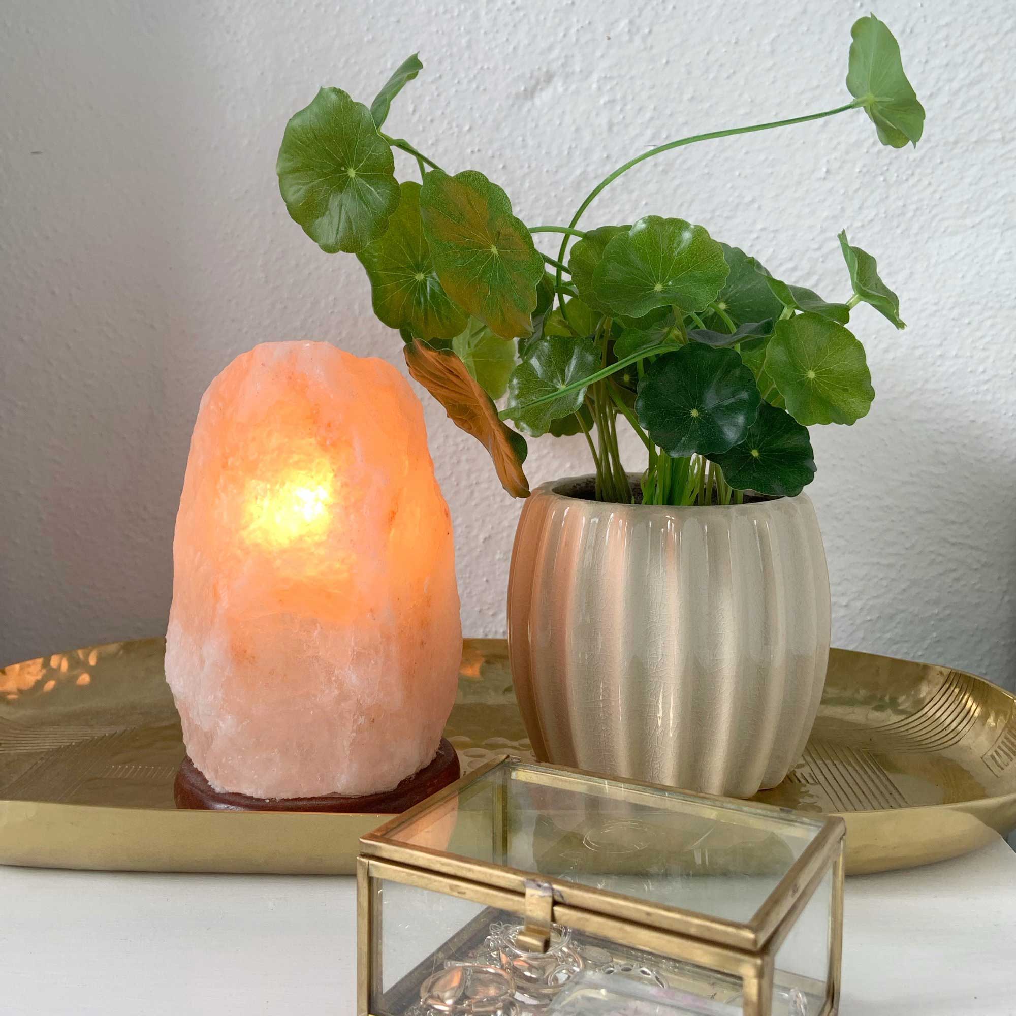 12V 12W Himalayan Pink Salt Lamp - Natural Rock Crystal Night Light with On/Off Switch (1.2 kg) - Perfect for Bedroom, Yoga Room & Meditation Space