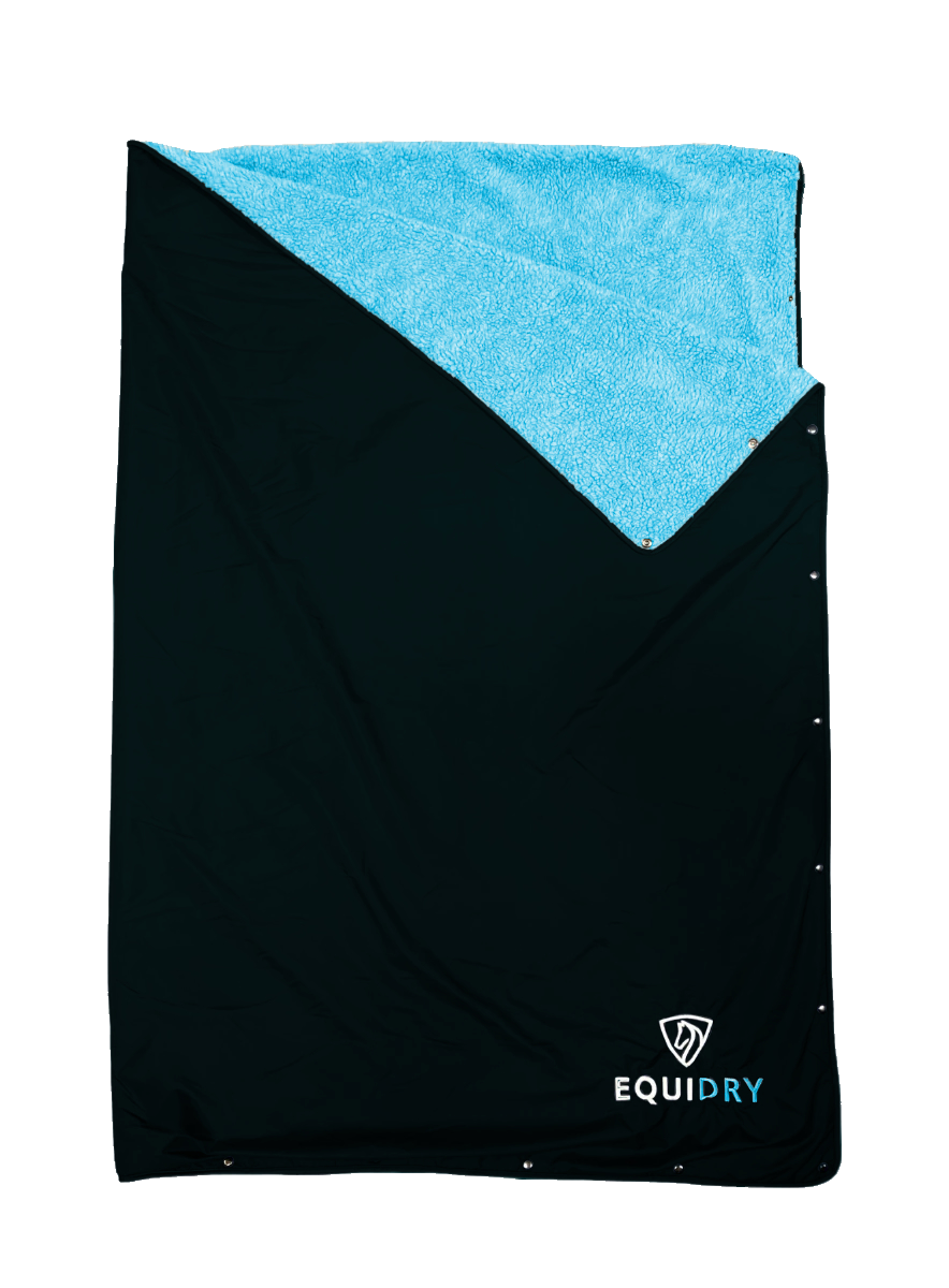 EQUIDRY Horse Cooling Blanket - Breathable & Lightweight for Hot Weather - Black & Turquoise - Perfect for Training, Riding, and Show Competitions