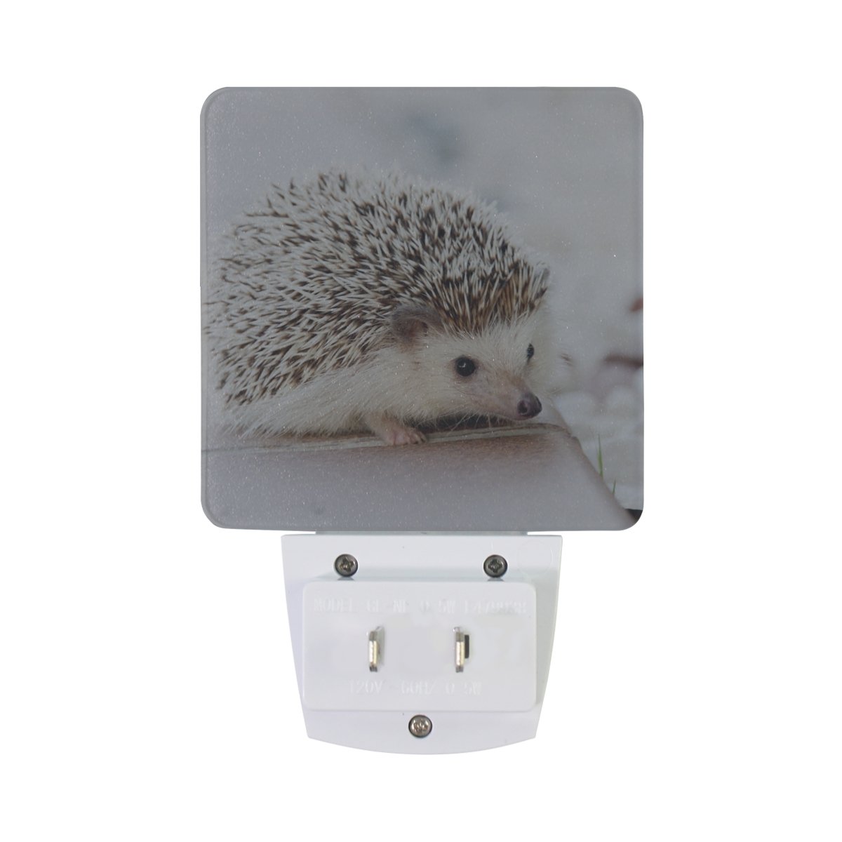 LED Night Light Plug-in with Hedgehog Design - Dusk-to-Dawn Auto Sensor, Energy Efficient 0.5W (2-Pack) - Perfect for Bedroom, Bathroom, Kitchen, Hallway & Stairs - Creates Cozy Ambiance for Kids' Rooms & Safe Nighttime Navigation