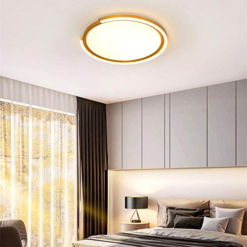 Modern LED Ceiling Light Fixture - Ultra Thin Surface Mount Lighting for Living Room, Bedroom & Kitchen - Energy Efficient LED Luminaire for Home & Office Spaces