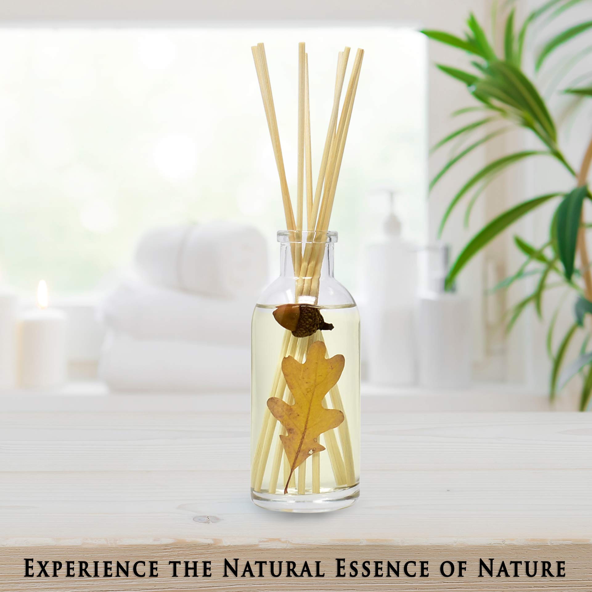 Urban Naturals Spiced Chestnut Reed Diffuser Set with Essential Oil - Autumn Scent of Chestnut, Cinnamon & Cedar - 3.75oz Home Fragrance - Made in USA | Perfect for Fall Decor, Cozy Living Room & Thanksgiving Gifts