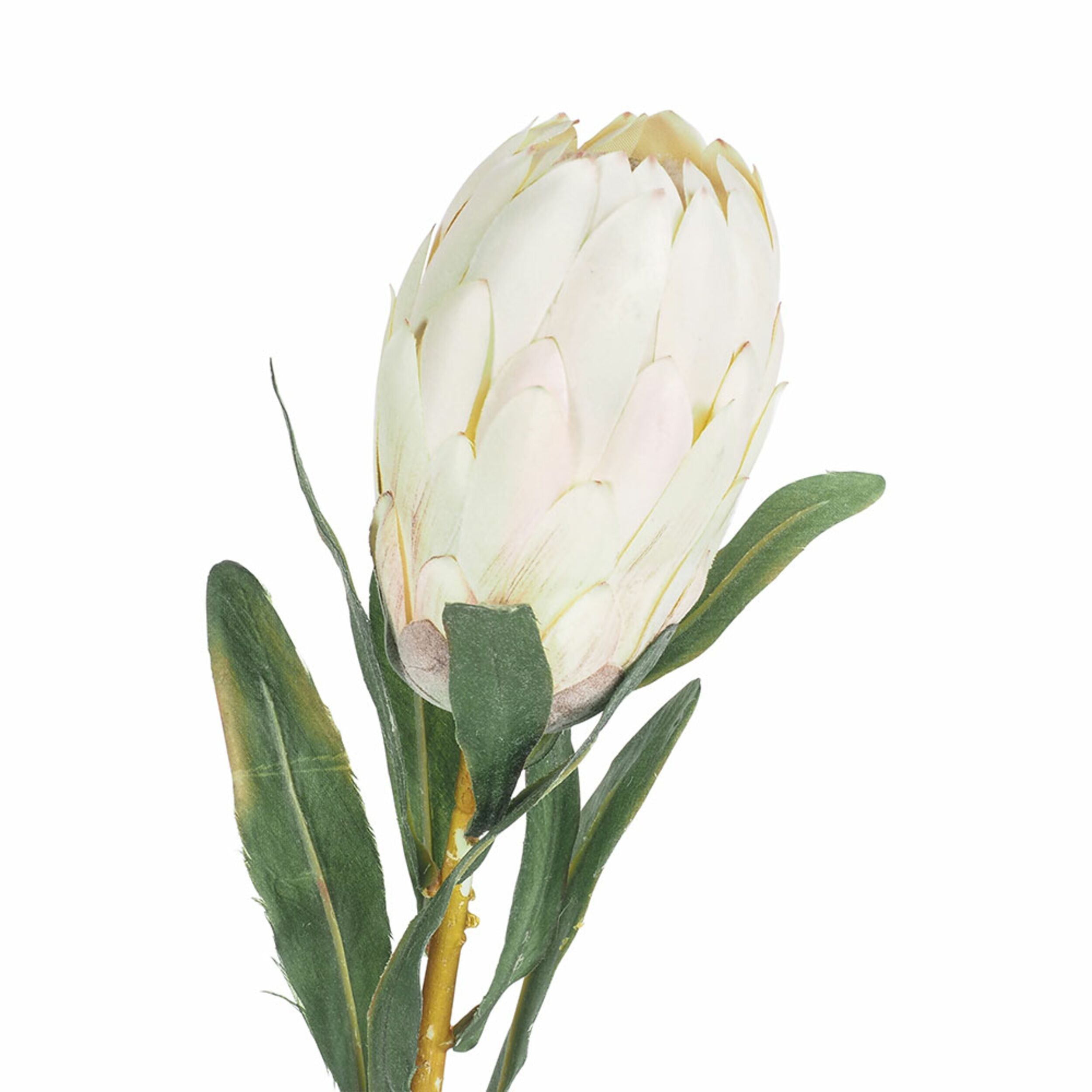 Premium Acacia Queen Protea Flower - 65cm Tall Artificial Silk Flower for Home Decor, Wedding Bouquets, and Floral Arrangements