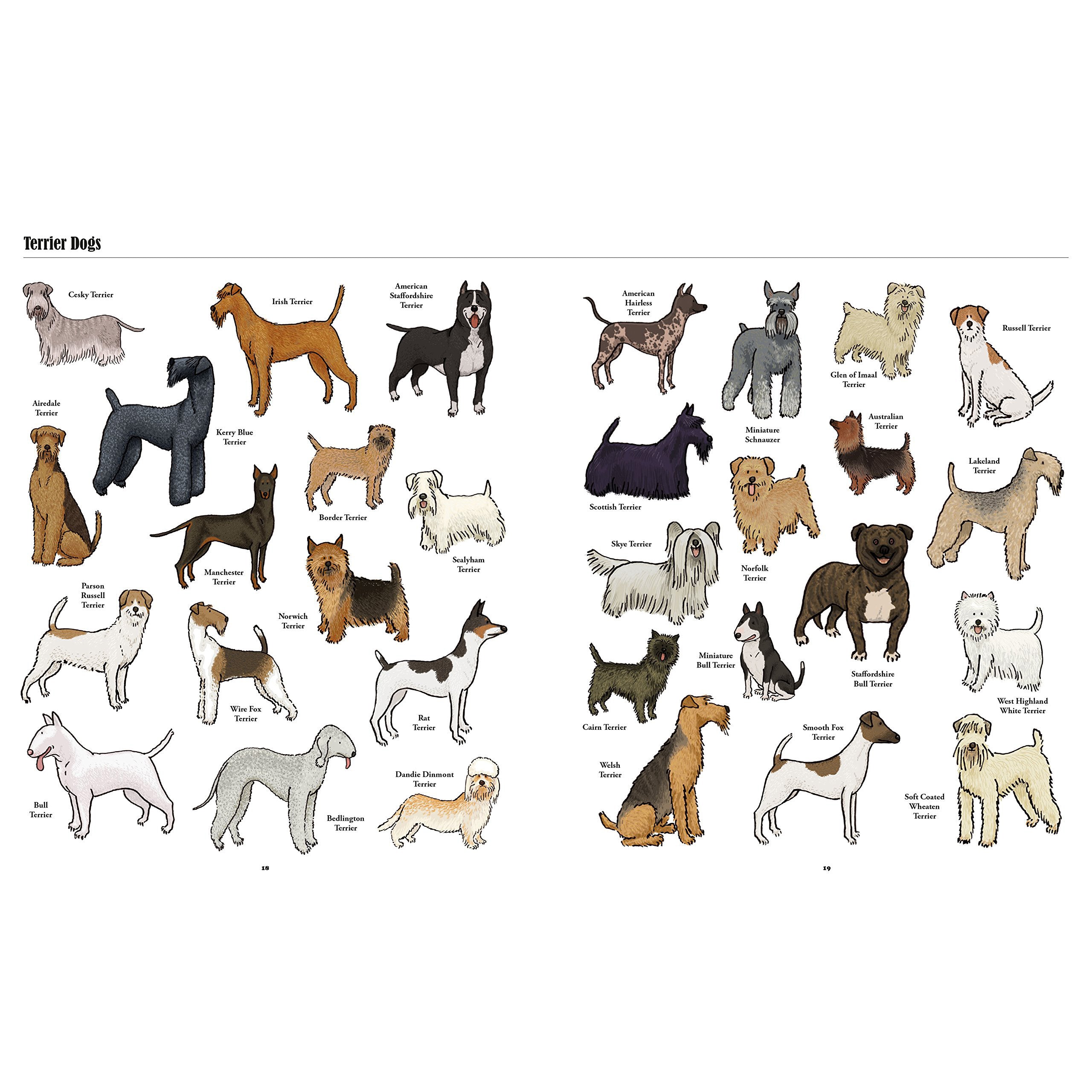 Big Dogs, Little Dogs: A Visual Guide to The World's Dog Breeds | Perfect for Dog Lovers, Pet Owners & Breed Identification