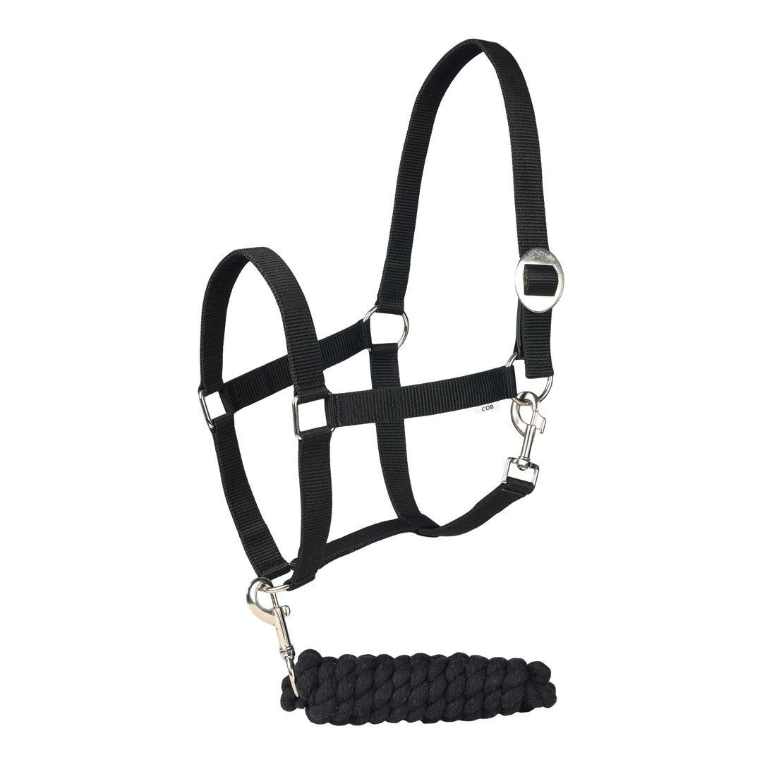 TuffRider Breakaway Leather Halter and Lead Rope Set for Horses - Durable Equestrian Training Gear for Trail Riding and Stable Use