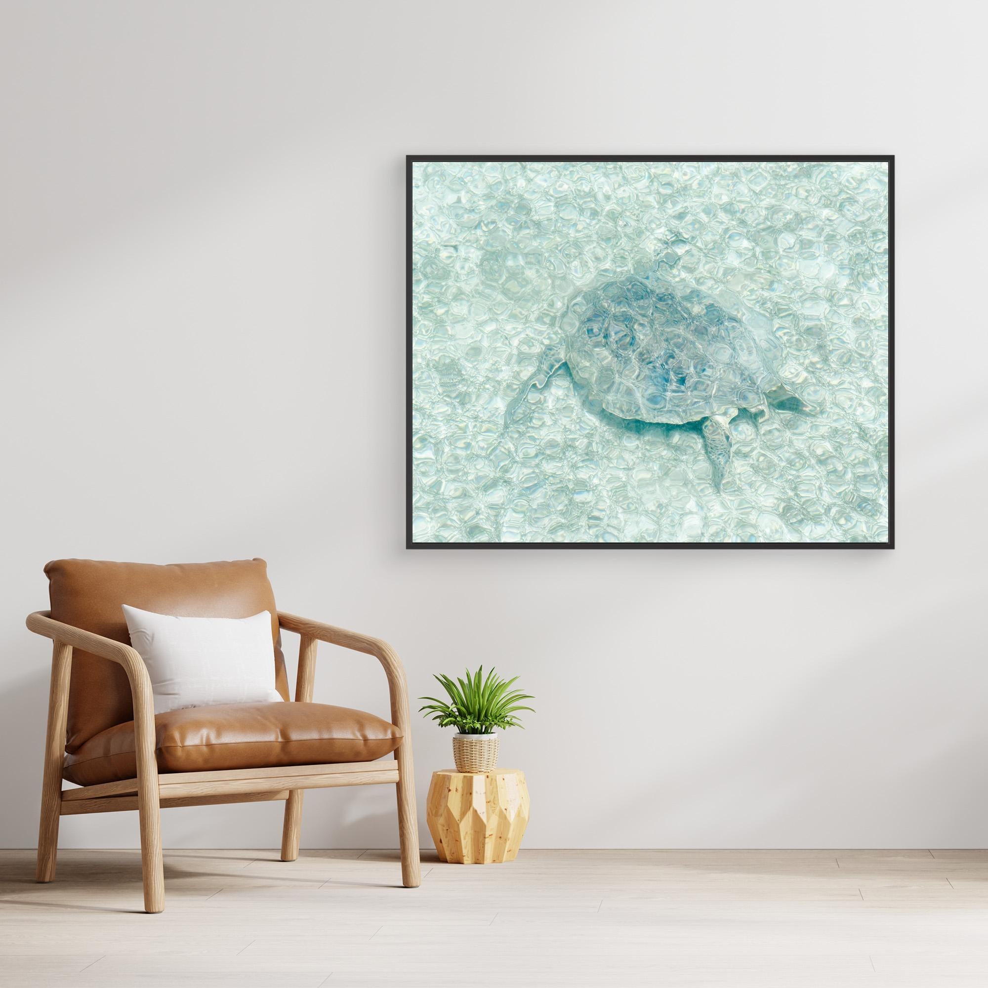Premium Canvas Print - Stunning Turtle Underwater Art by Photolovers | Ocean-Themed Wall Decor for Living Room, Bedroom & Office