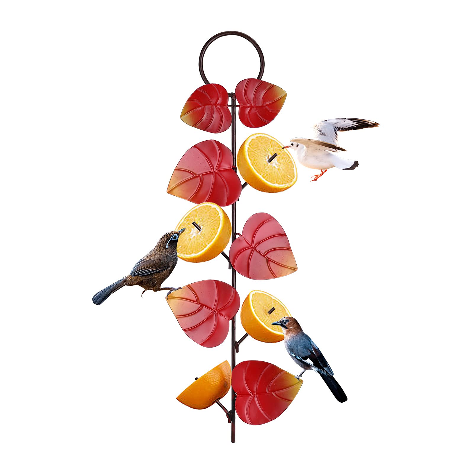HOVTOIL Squirrel Proof Hummingbird Feeder - Branch Shape Bird Feeder with Sharp Forks for Outdoor Garden, Perfect Christmas & New Year Gift (Red) - Attract Birds to Your Backyard or Patio
