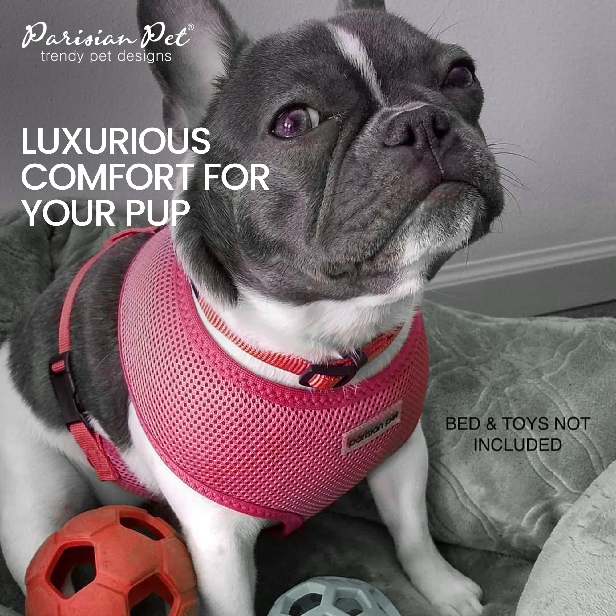 Parisian Pet Dog Harness - Adjustable Pink No-Pull Mesh Vest for Small Dogs | Breathable & Cooling Design for Walking, Running & Hiking | Puppy Harness Size S | Perfect for Outdoor Adventures & Daily Walks