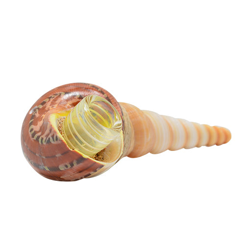 Handmade Seashell Spoon Pipe - Natural & Unique Smoking Accessory for Beach Lovers & Collectors | Perfect for Outdoor Adventures, Camping & Relaxation by the Shore
