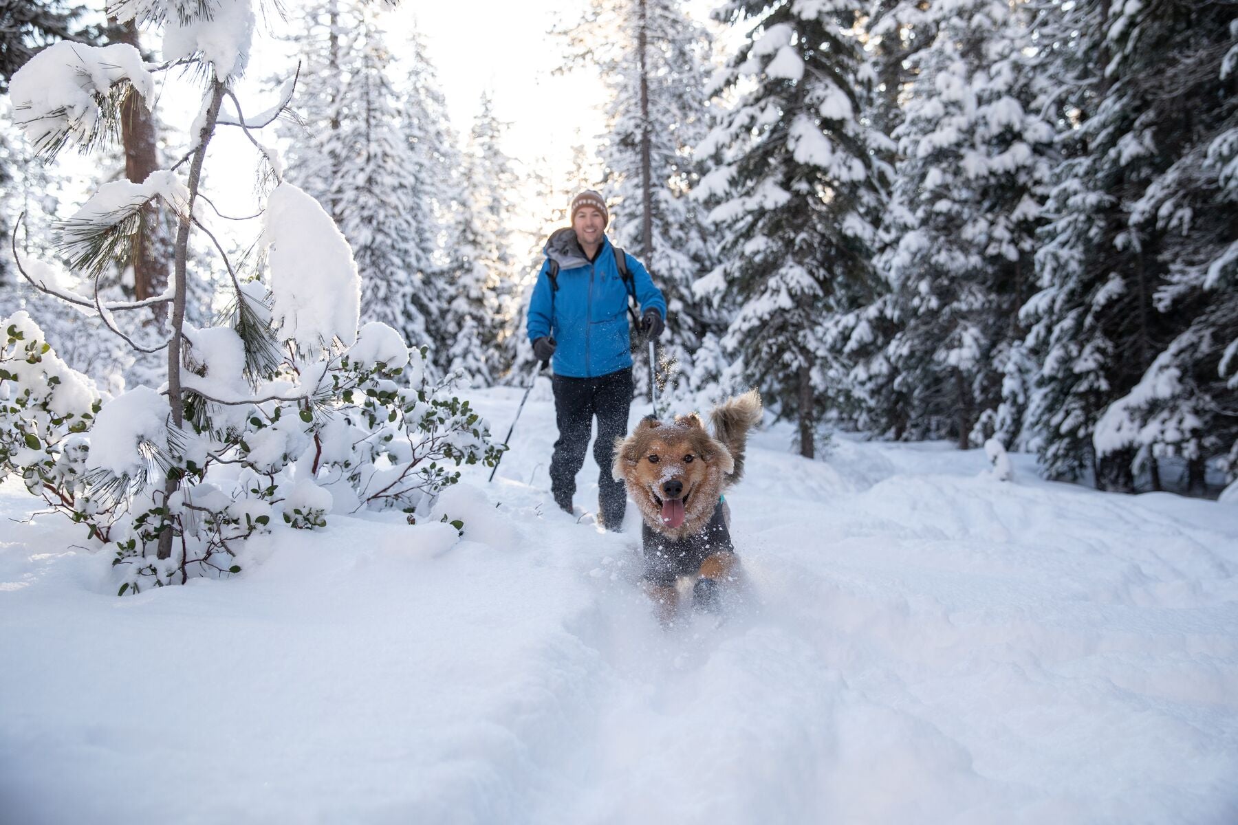 Ruffwear® Cloud Chaser® Waterproof Dog Jacket - Blue Aqua | All-Weather Protection for Hiking & Outdoor Adventures