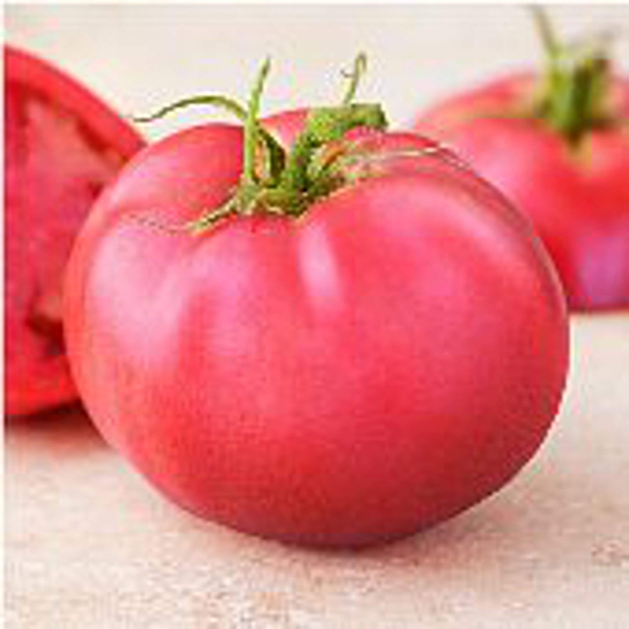 Organic Pink Girl Tomato Seeds (20+ Seeds) - Non-GMO Heirloom Variety for Home Garden, Greenhouse & Container Planting | Fresh Salad, Canning & Cooking Tomatoes | USA Grown
