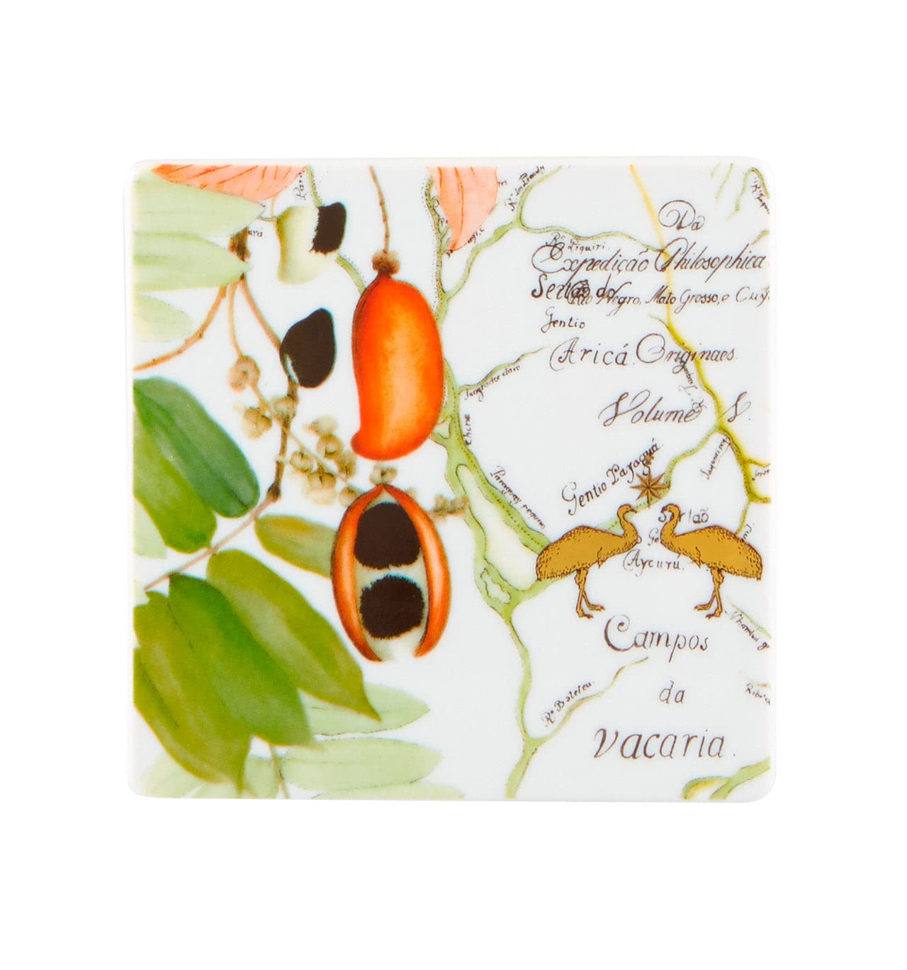 Vista Alegre Amazonia Set of 4 Absorbent Coasters - Tropical Leaf Design for Coffee Tables, Dining Tables & Home Decor