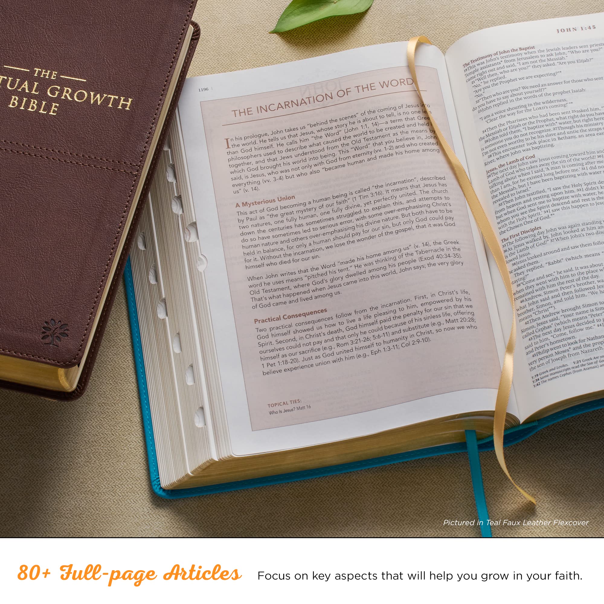 Spiritual Growth Bible NLT - New Living Translation Holy Bible, Faux Leather Cover in Chocolate Brown/Ginger, Christian Study Bible for Personal Devotion & Small Group Discussions