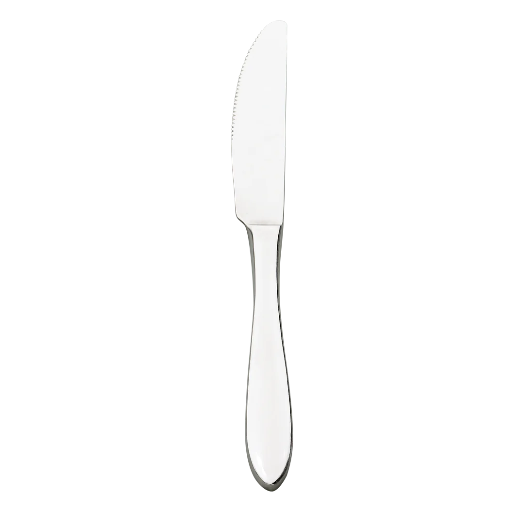 Browne Eclipse Stainless Steel Dinner Knife Set - 50-Piece 2111S for Formal Dining, Restaurants & Catering Events