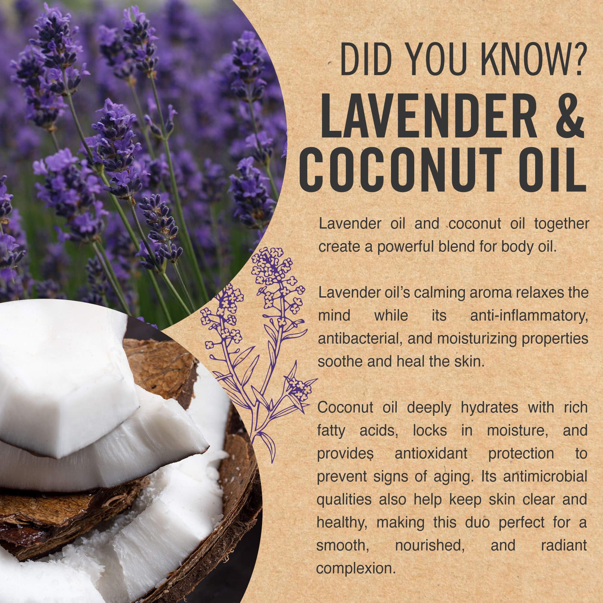 Relaxing Lavender Coconut Massage Body Oil for Stress Relief & Muscle Tension - 8oz Aromatherapy Essential Oil Blend for Spa, Yoga & Home Relaxation
