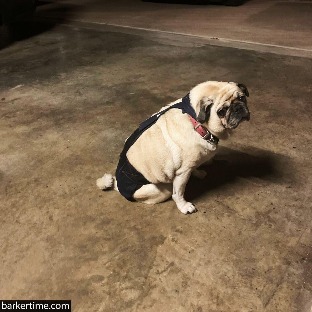 Denim on Black Dog Diaper Overall XXL - No Tail Hole - Made in USA - Perfect for Large Breed Dogs with Incontinence Issues