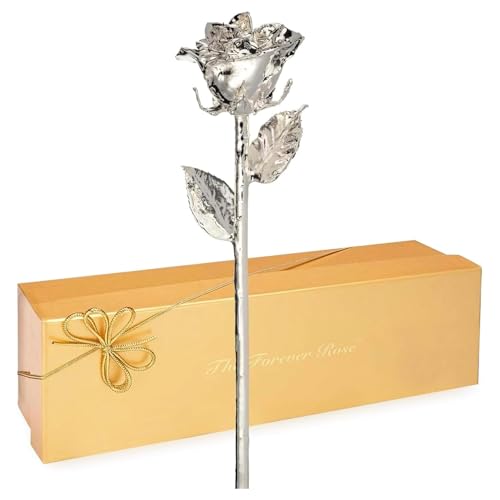 Silver Dipped Rose