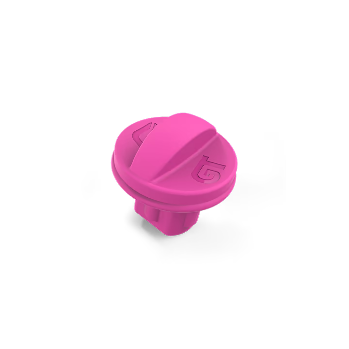Fuchsia