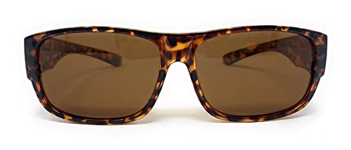 Glossy Tortoise With Amber Lens